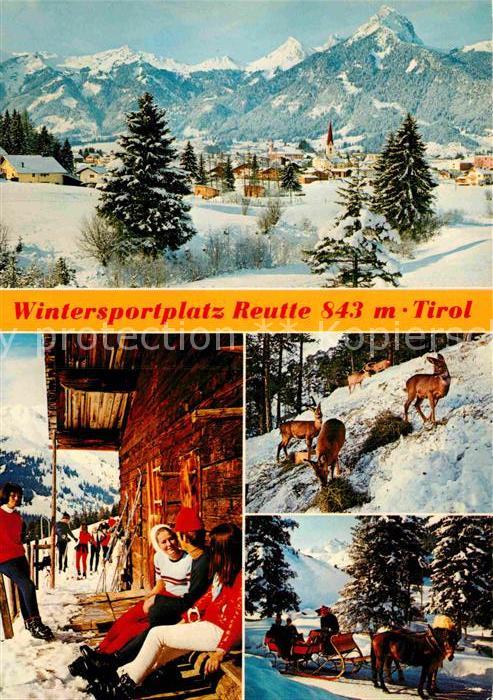 Reutte Tirol Panorama Skihuette Rotwild Pferdeschlitten