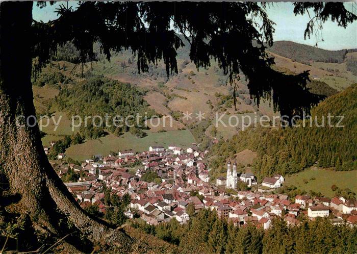 Todtnau Ansicht vom Waldrand aus Luftkurort Schwarzwald