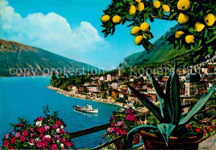 Limone sul Garda Panorama Gardasee Zitronenbaum Kaktus