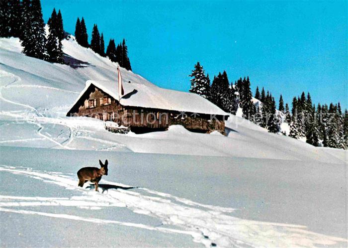 Balderschwang Burglhuette am Feuerstaetterkopf Winterlandschaft Allgaeuer Alpen