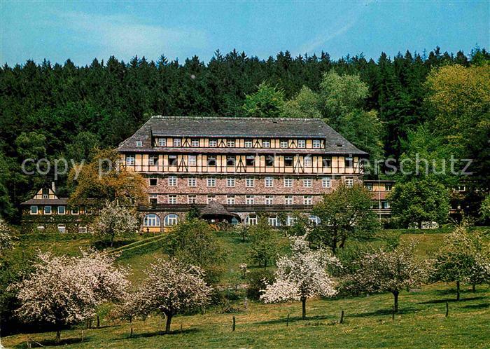 Bad Karlshafen Gaestehaus Diemeltal Baumbluete