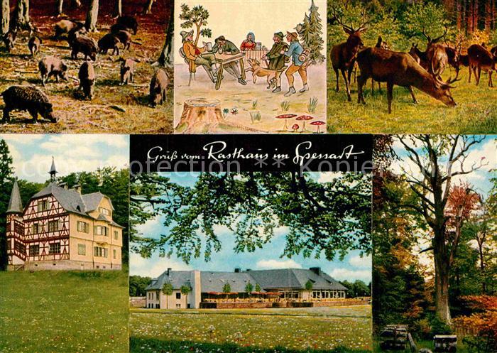 Rohrbrunn Autobahn Rasthaus im Spessart Motel Wildschweine Damwild Waldpartie