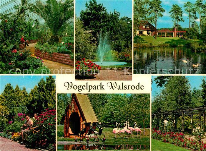 Walsrode Lueneburger Heide Vogelpark Walsrode Fontaene Schwanenteich Flamingos