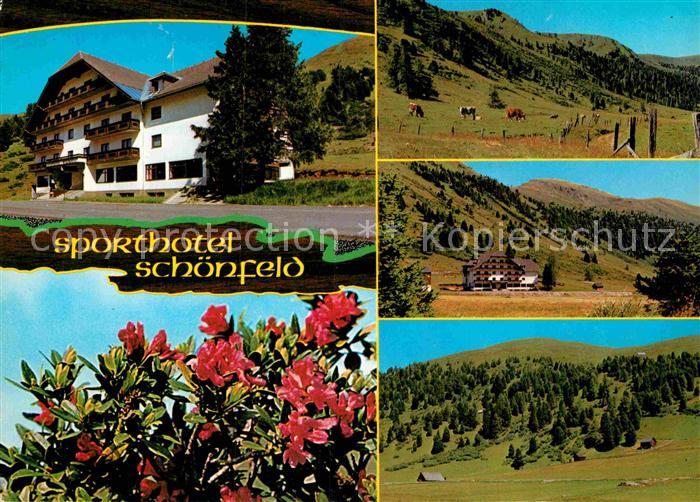 Schoenfeld Lungau Sporthotel Schoenfeld Panorama