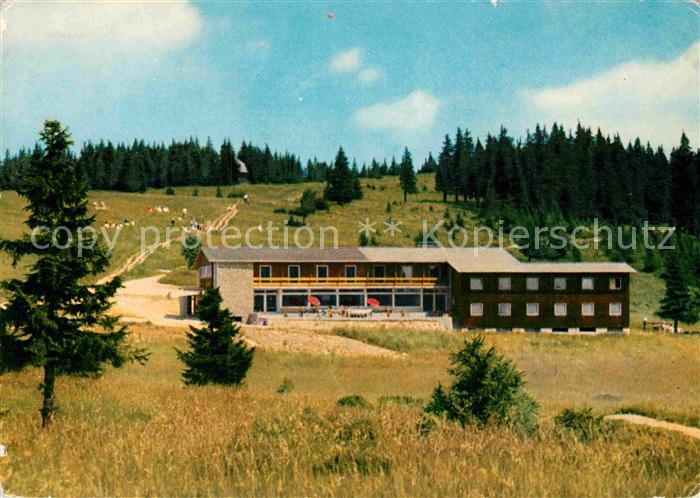 Feldberg Schwarzwald Berghotel Herzogenhorn