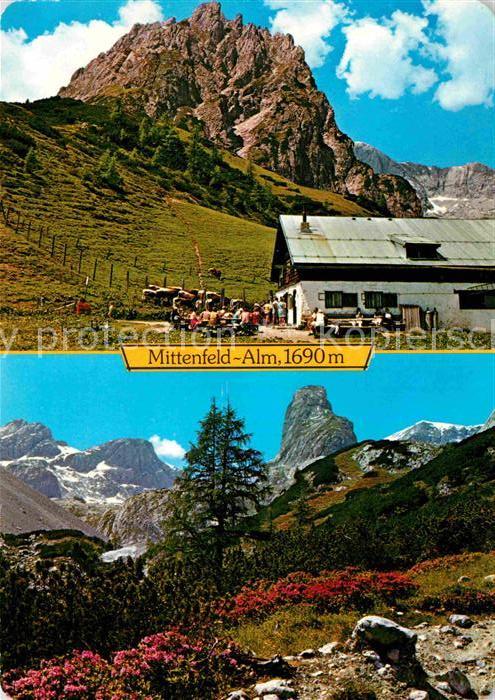 Hochkoenig Mittenfeld Alm Panorama