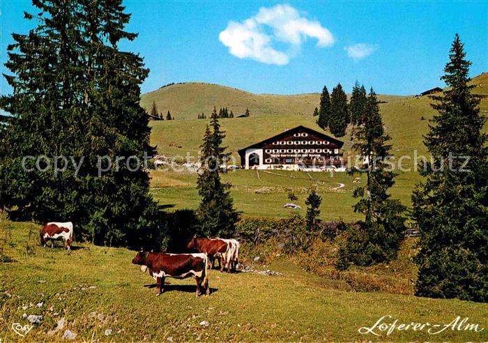 Lofer Haus Gertraud in der Sonne Loferer Alm