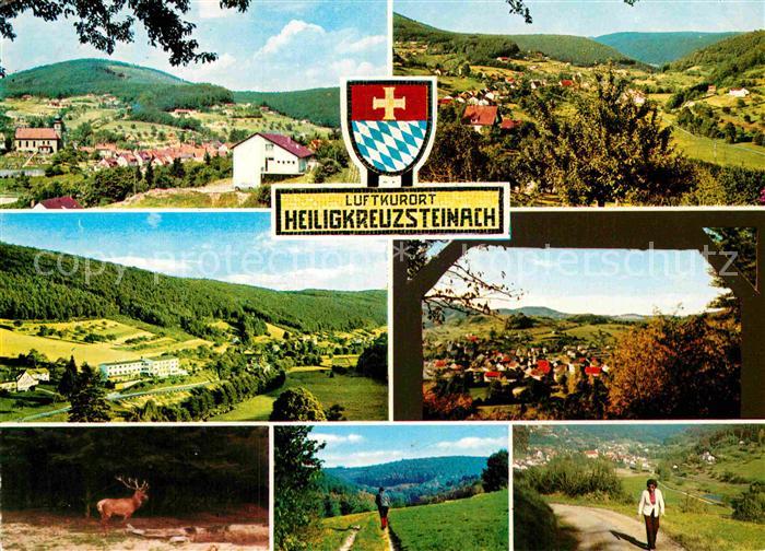 Heiligkreuzsteinach Reh