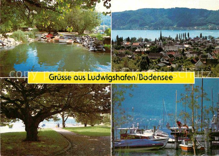 Ludwigshafen Bodensee Hafen Park