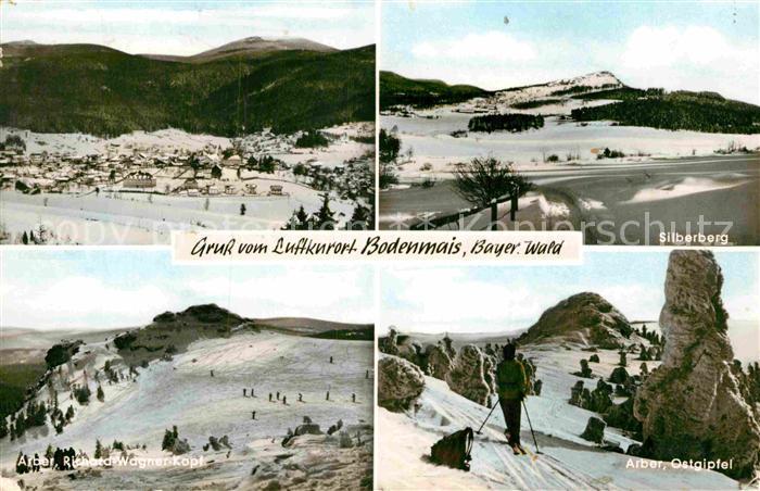 Bodenmais Silberberg Arber Ostgipfel Richard Wagner Kopf