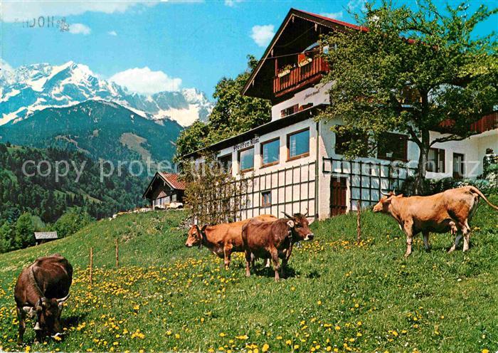 Mittenwald Bayern Pfeiffer Alm Kuehe