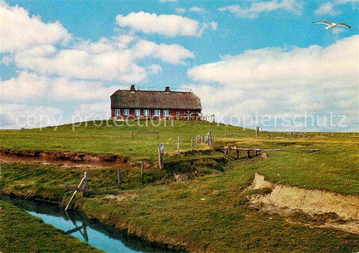 Elmshorn Hallighaus auf hoher Warft mit Abbruchkanten und Priel