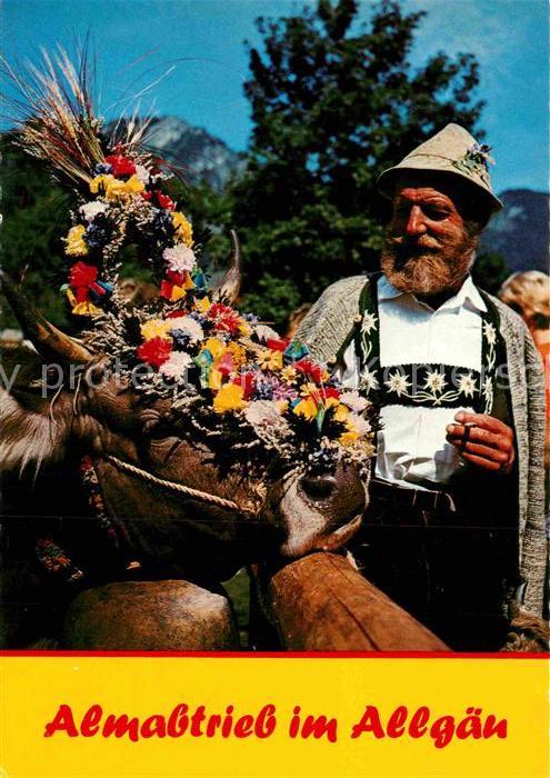 Kuehe Almabtrieb Allgaeu