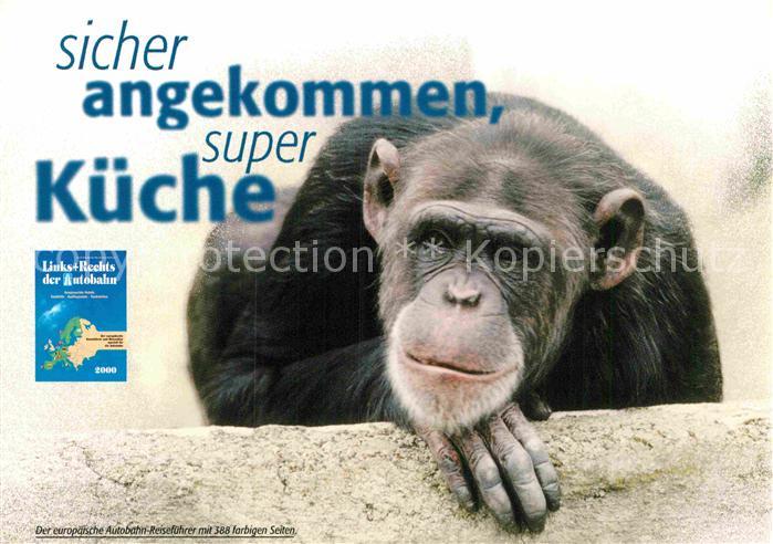 Affen Werbung Autobahn-Reisefuehrer