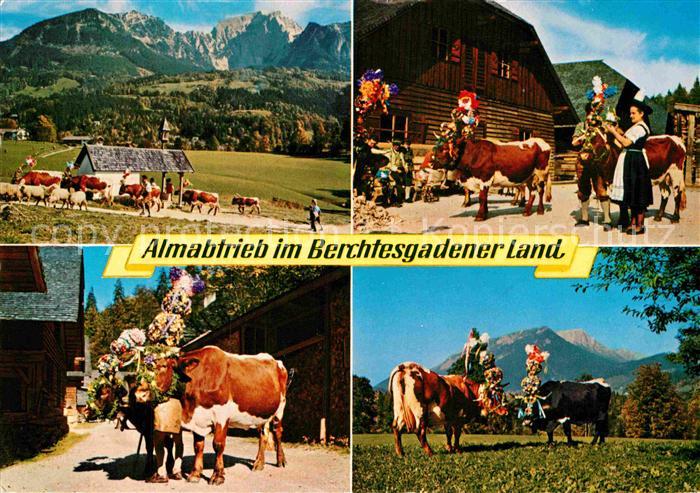 Kuehe Almabtrieb Berchtesgadener Land