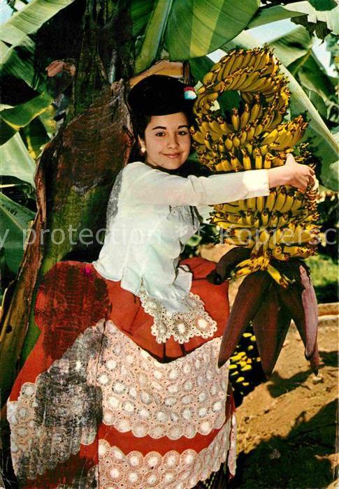 Bananen Gran Canaria Platanera Chica Tipica