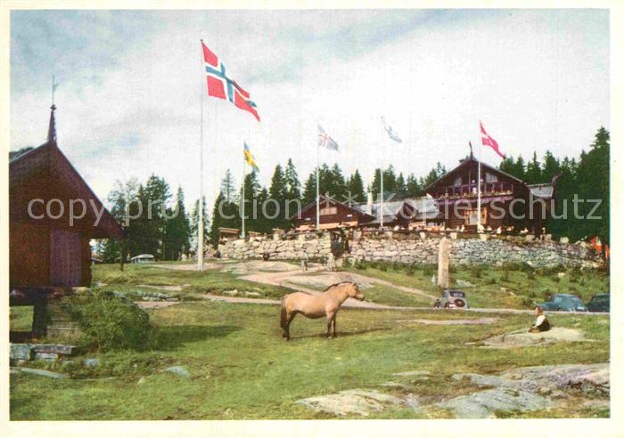 Oslo Norwegen Frognerseteren Gaststaette Restaurant Fjordpferd Flagge
