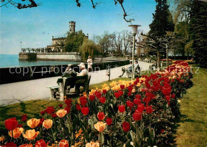 Langenargen Bodensee Seepromenade Schloss Montfort Tulpenbeet