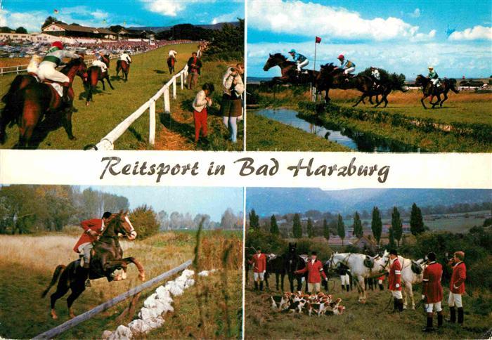 Bad Harzburg Reitsport Pferderennen Fuchsjagd