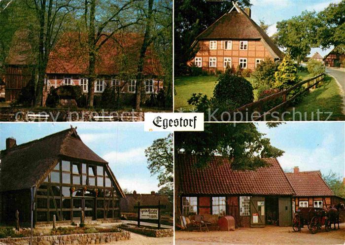 Egestorf Nordheide Bauernhoefe Pferdekutsche