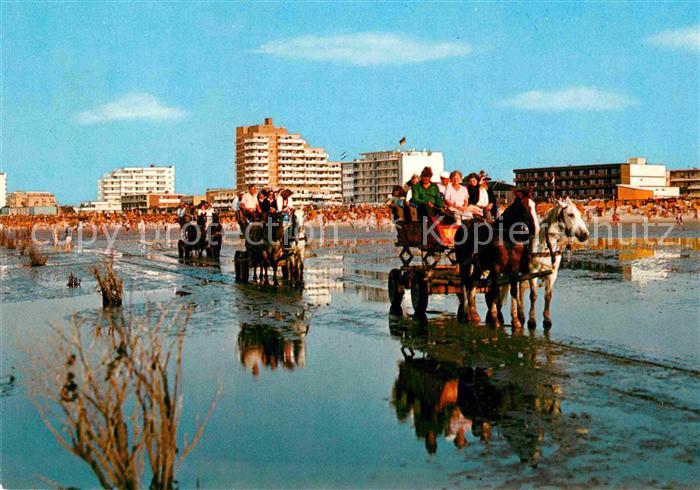 Duhnen Nordsee Wattfahrt Nordseeheilbad