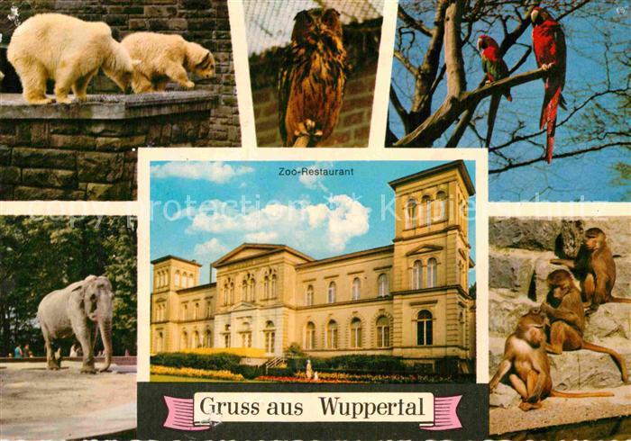 WUPPERTAL NRW Zoo Baeren Elefant Eule Papagei Affen Restaurant