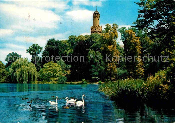 Bad Homburg Schlossweiher mit Weissem Turm Schwaene