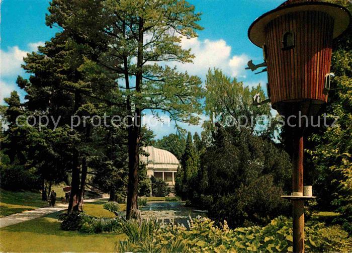 Bad Wildungen Seerosenteich Fackelteich Kurpark