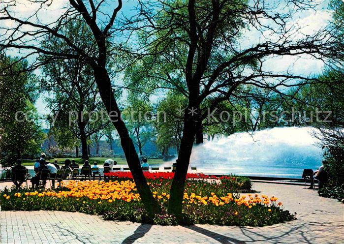 Koeln Rhein Rheinpark Wasserspiele