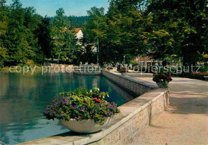 Bad Sachsa Harz Partie am Schmelzteich