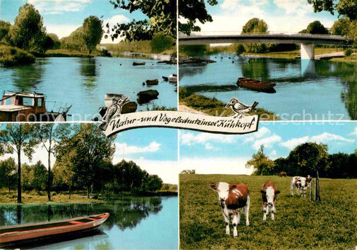 Erfelden Natur und Vogelschutzinsel Kuehkopf