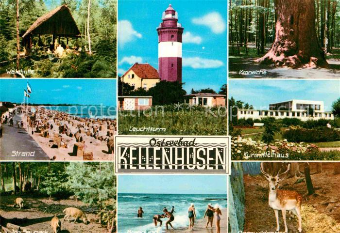 Kellenhusen Ostseebad Waldhuette Leuchtturm Kroneiche Strand Kurmittelhaus Tierp