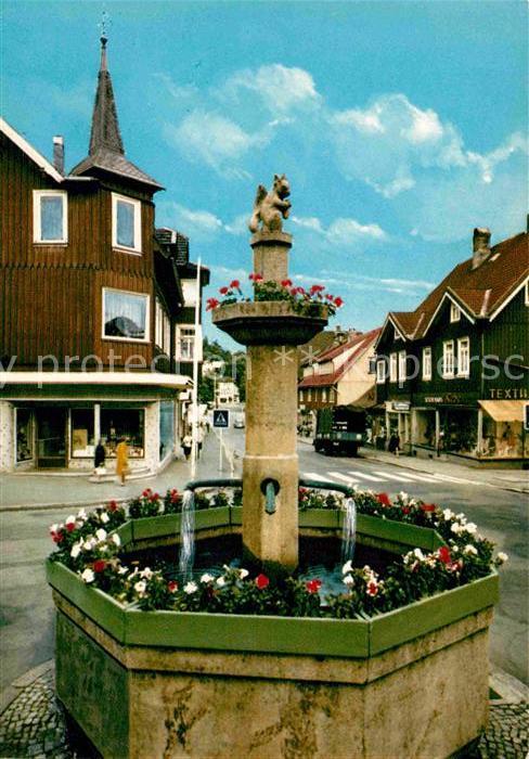 Braunlage Harz Am Brunnen