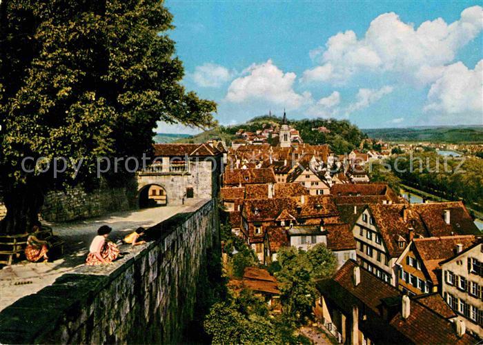 Tuebingen Blick von der Schlosslinde
