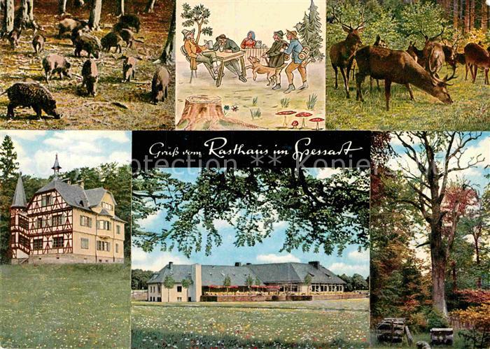 Rohrbrunn Autobahn Rasthaus im Spessart Wildschweine Rotwild