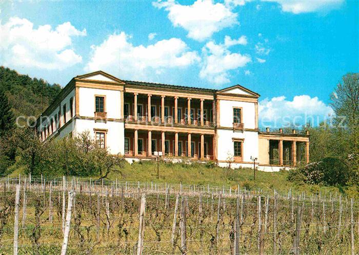 Edenkoben Schloss Villa Ludwigshoehe