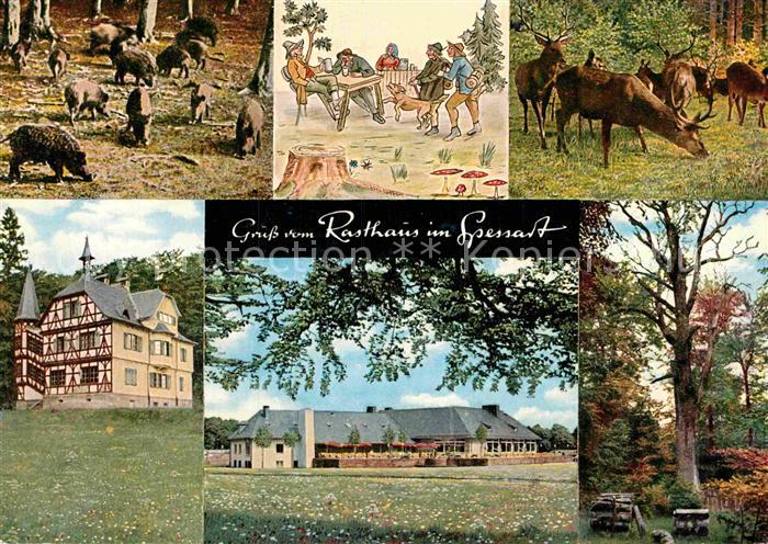 Rohrbrunn Autobahn Rasthaus im Spessart Wildschweine Rotwild