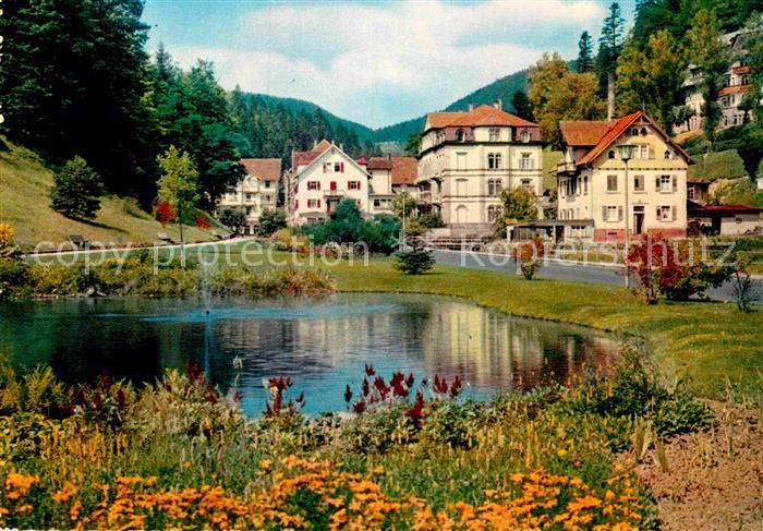 Bad Rippoldsau Schwarzwald Ortsmotiv