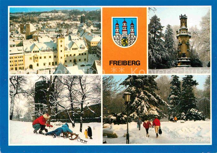 Freiburg Elbe Blick vom Petriturm Rathaus Schwedendenkmal Rodelbahn Stadtmauer S
