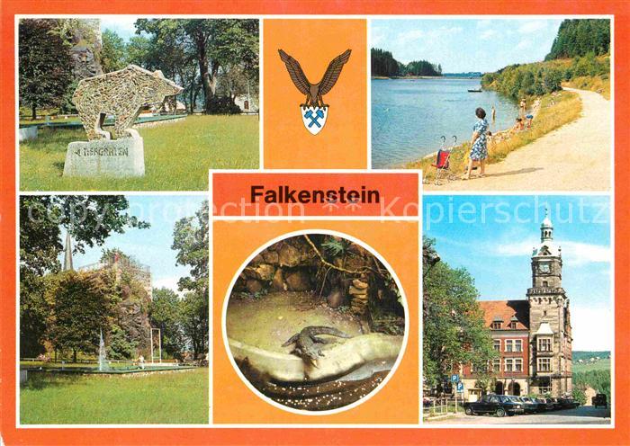 Falkenstein Vogtland Schlossfelsne Talsperre Tierpark Krokodil Rathaus