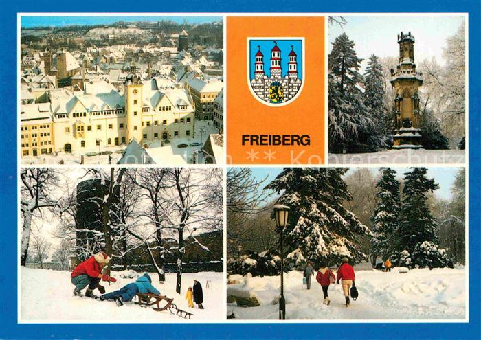 Freiburg Elbe Blick vom Petriturm Schwedendenkmal Rodelbahn Stadtmauer Scheringe