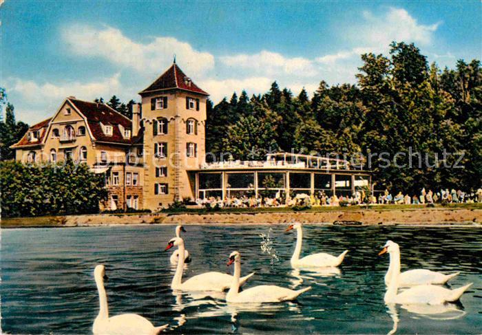 ueberlingen Bodensee Seepartie Kurgarten Schwaene