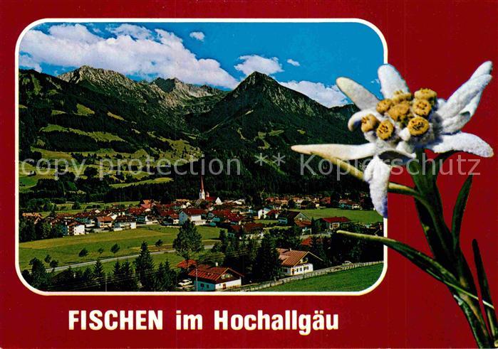 Fischen Allgaeu Fliegeraufnahme