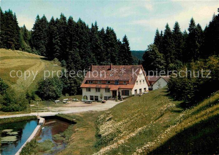 Besenfeld Erholungsheim Schwarzwaldmuehle