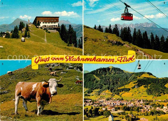 Kitzbuehel Tirol Hahnenkamm- Bergstation Seilbahn Kuh