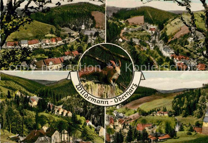 Wildemann Eichhoernchen