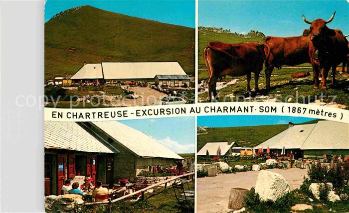 Chartreuse La Grande Charmant som Kuehe Ausflugsziel