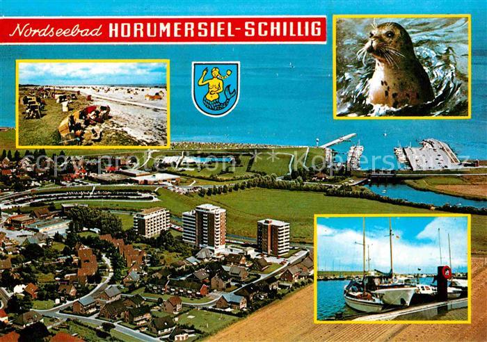 Schillig Horumersiel Robbe Fliegeraufnahme Strand Hafen