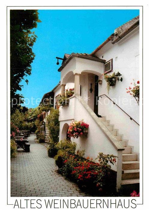 Rust Burgenland Altes Weinbauernhaus Weingut Buschenschank