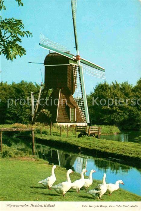 Haarlem Windmuehle Gaense